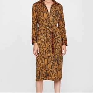 Zara Snake Print Dress XL
